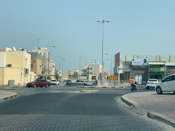 "البحير".. غياب للخدمات الأساسية وضعف البنية التحتية وانتشار الكلاب الضالة