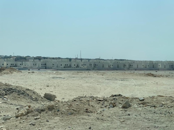 "البحير".. غياب للخدمات الأساسية وضعف البنية التحتية وانتشار الكلاب الضالة