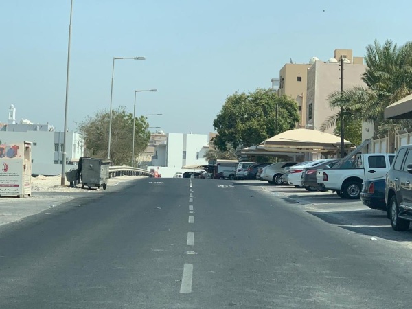 "البحير".. غياب للخدمات الأساسية وضعف البنية التحتية وانتشار الكلاب الضالة