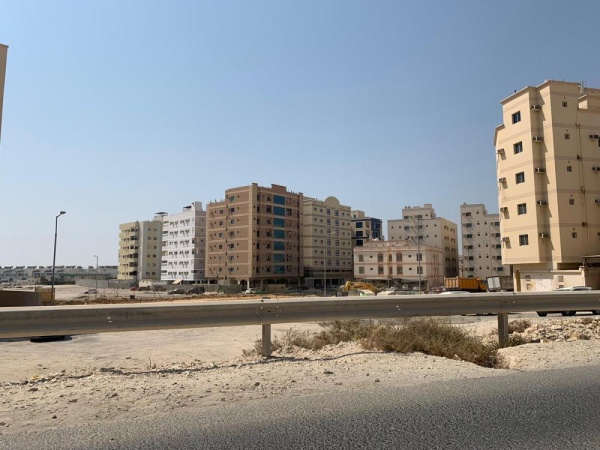 "البحير".. غياب للخدمات الأساسية وضعف البنية التحتية وانتشار الكلاب الضالة