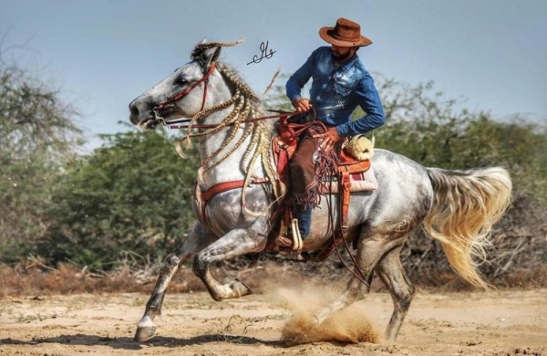 تصوير فلم "الكاوبوي" في البحرين لتسليط الضوء على الرياضة