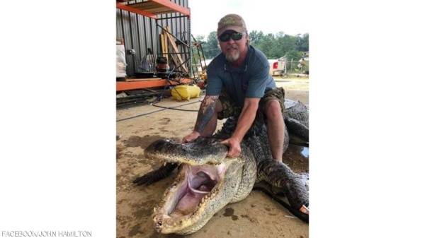 مفاجأة في بطن تمساح عملاق.. اختراع يعود لآلاف السنين