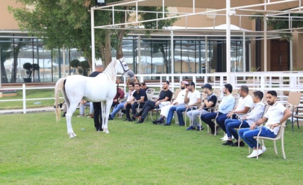 الاتحاد الملكي ينظم دورة عارضي الخيل العربية المتقدمة