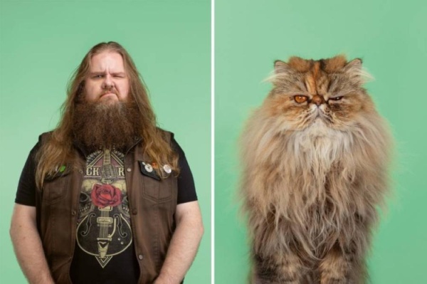 يخلق من الشبه 40.. مصور يرصد التشابه بين البشر وقططهم