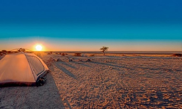 الوعي والالتزام يمثلان حافزاً للسماح بالتخييم وفق اشتراطات 
مواطنون: متفائلون بعودة &laquo;التخييم&raquo; مع انحسار &laquo;كورونا&raquo;