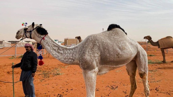 المدير العام للإيسيسكو يزور مهرجان الملك عبد العزيز الدولي للإبل بالرياض