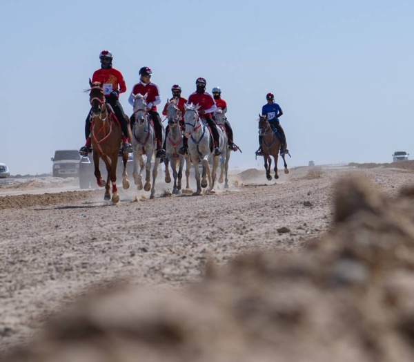 عيسى بن عبدالله: فخورون بتنظيم سباق خالد بن حمد للقدرة.. والمنافسة دائماً قوية