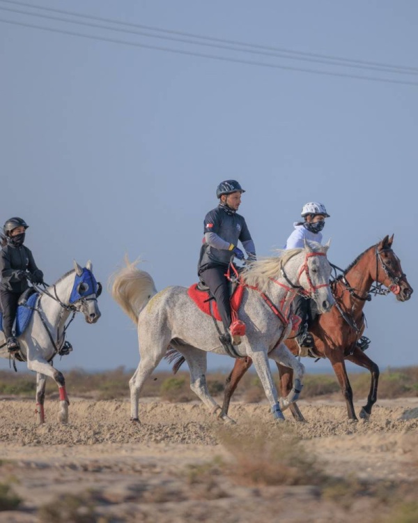 مهرجان خالد بن حمد للقدرة يواصل فعالياته