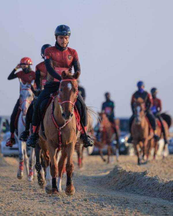 مهرجان خالد بن حمد للقدرة يواصل فعالياته