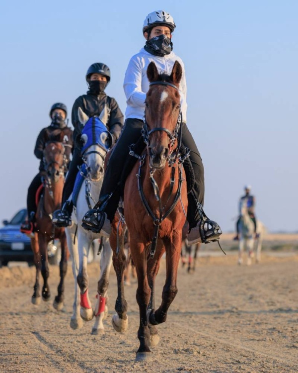 مهرجان خالد بن حمد للقدرة يواصل فعالياته