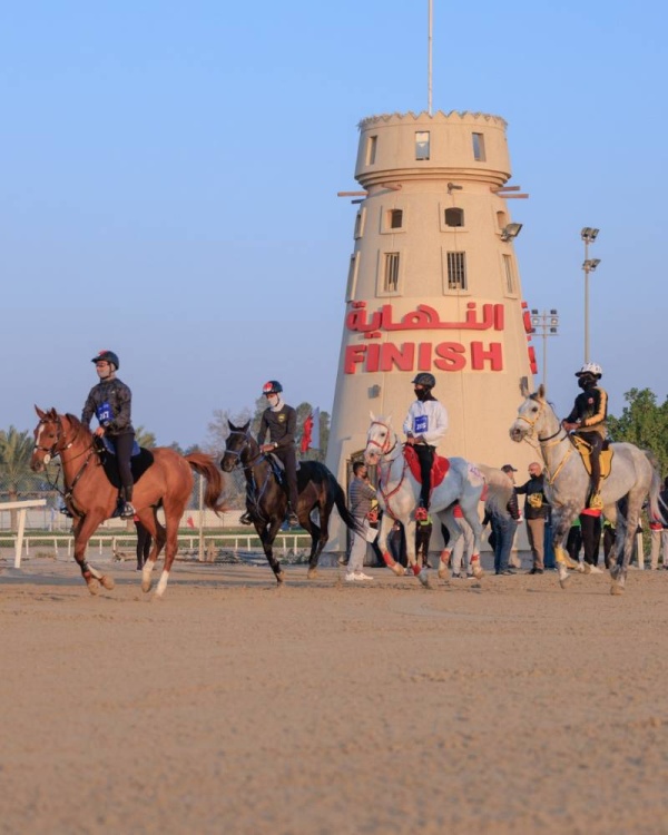 مهرجان خالد بن حمد للقدرة يواصل فعالياته