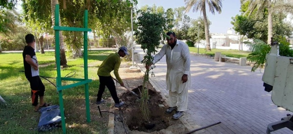 الدوي: تطوير وصيانة حديقة الكازينو