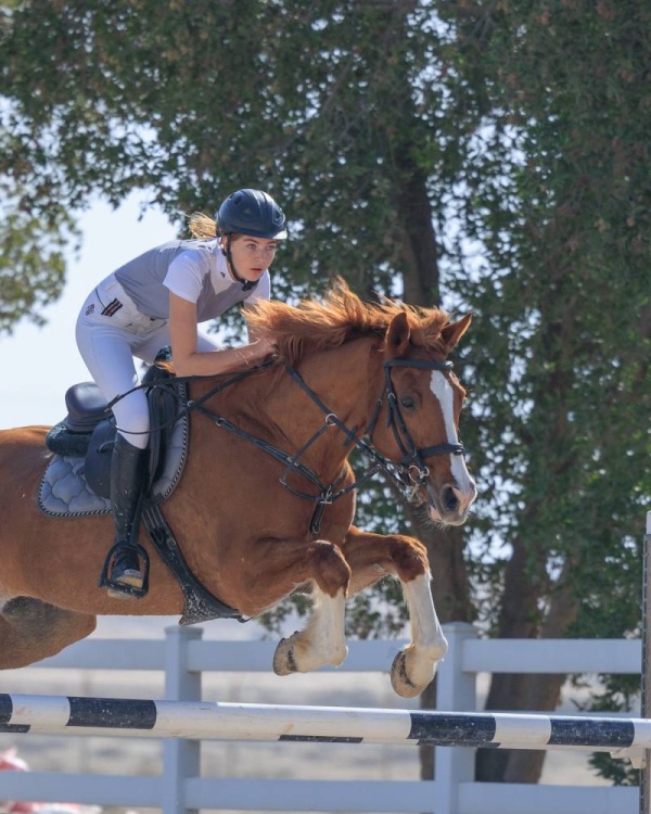 الناشئون يبدعون بمستوياتهم في ثامن بطولات موسم قفز الحواجز