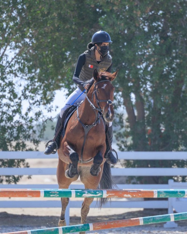 الناشئون يبدعون بمستوياتهم في ثامن بطولات موسم قفز الحواجز