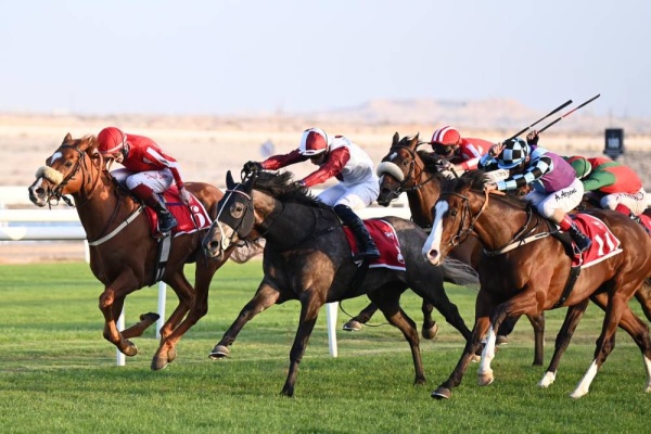 أقوى الجياد تتنافس على كؤوس ناصر بن حمد وأنجاله وصراع مثير على كأسي الصخير و الرؤية الأقتصادية