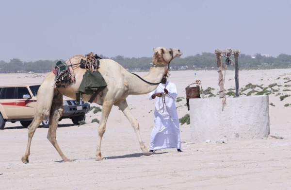 انطلاق مسابقة "شديد العرب" التراثية