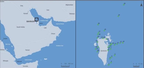 «الأعلى للبيئة»: مستويات المعادن الثقيلة منخفضة في الرواسب البحرية بالبحرين