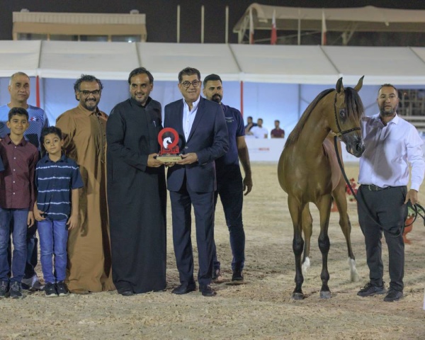 إسدال الستار على بطولة فيصل بن حمد لجمال الخيل العربية