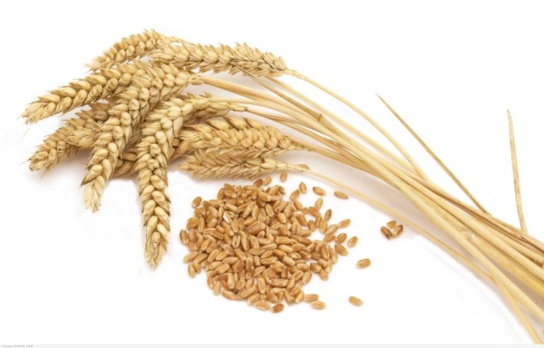 "رمضاننا" غير بخيارات صحية