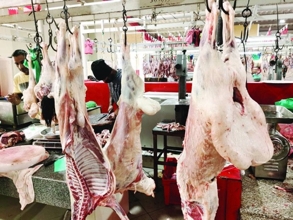 ارتفاع أسعار الذبائح الحية ليوم العيد