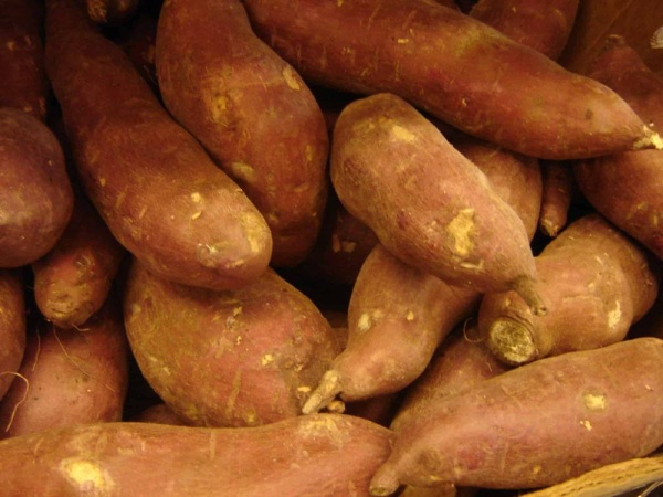 10 أغذية تحافظ على نضارة البشرة