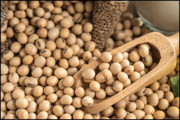 10 أغذية تحافظ على نضارة البشرة