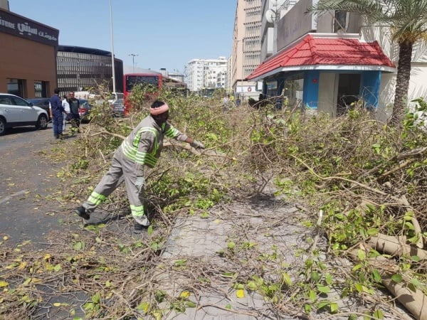 بالصور.. تضرر عدد من السيارات في سقوط شجرة بالسلمانية