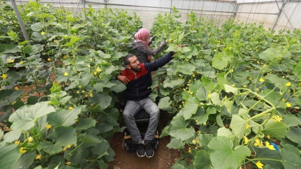 فلسطيني يتحدى الإعاقة ورصاص الجيش الإسرائيلي .. هذه قصته