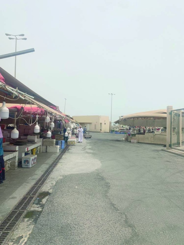 صيادون يطالبون بتسقيف &laquo;فرضة الحد&raquo; مع دخول الصيف