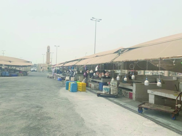 صيادون يطالبون بتسقيف &laquo;فرضة الحد&raquo; مع دخول الصيف