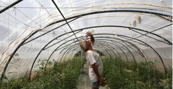 بالصور: موجة حارة تجتاح أوروبا