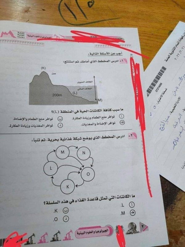 كشفت نفسها بنفسها.. صورة تكشف واقعة غش في امتحانات الثانوية بمصر