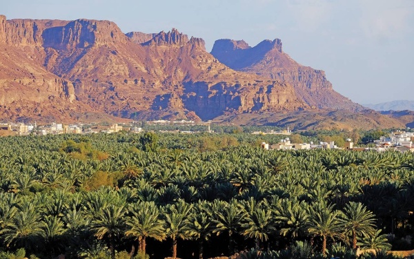 العلا.. أرض الحضارات وأكبر متحف مفتوح بالعالم