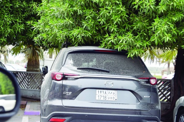 دعوات لتخفيض رسوم مواقف السيارات بالمطار لدعم السياحة