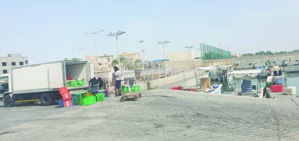 البشير: نطالب بخطة متكاملة للنهوض بمرفأ الزلاق