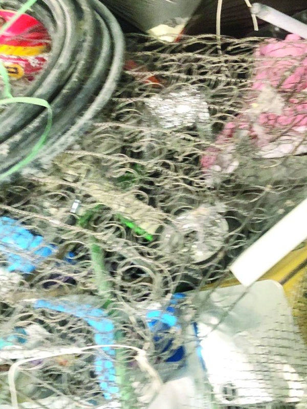 انتشار محلات تجميع السكراب بين المناطق السكنية