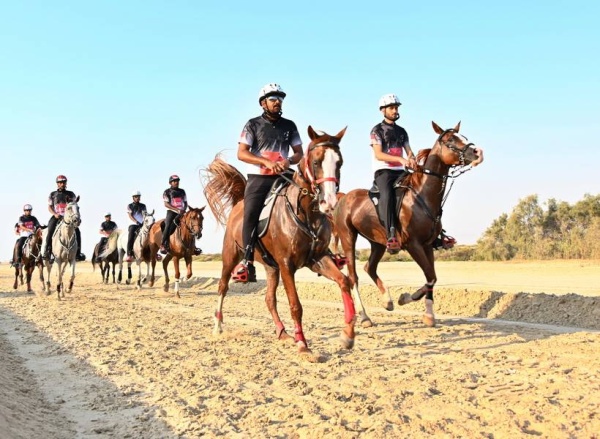 الاتحاد الملكي أنهى كافة التحضيرات.. غداً الفحص البيطري للسباقات المحلية لمسافة 80 و40 كم للقدرة