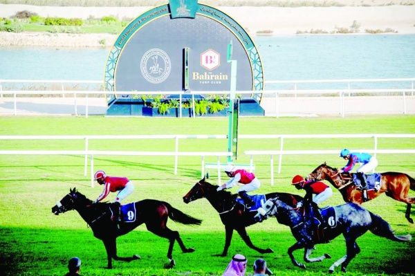 عيسى بن سلمان يشهد السباق.. الجياد المرشحة تحقق كؤوس الحصان العربي ومشاريع القصر