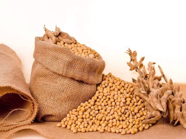 6 أغذية ترفع هرمونات الأنوثة