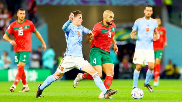 "أمرابط" .. أسد أطلسي يشق الغابات !