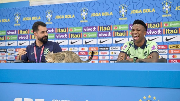 فينيسيوس : لا يزال لدينا العديد من الاحتفالات