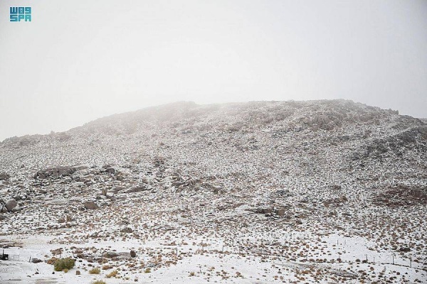السعودية: جبل اللوز في تبوك.. يكتسي بالأبيض