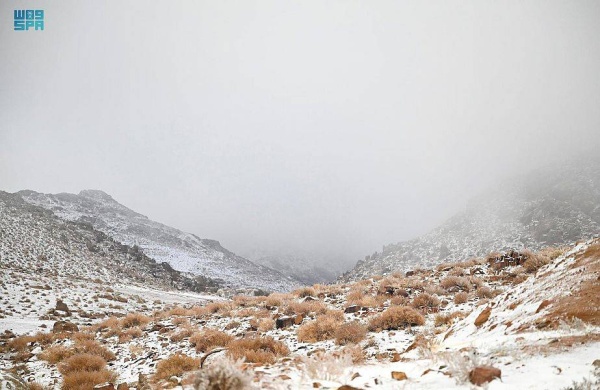 السعودية: جبل اللوز في تبوك.. يكتسي بالأبيض