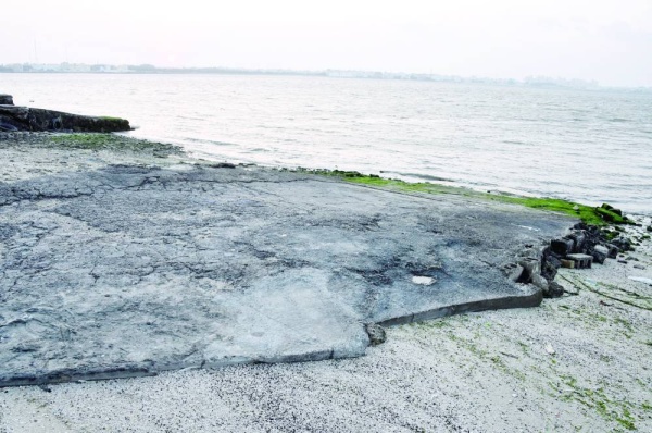 &laquo;الوطن&raquo; تزور المنطقة وتستمع للشكاوى.. أهالي: قرية النبيه صالح بلا تخطيط وتفتقر للخدمات