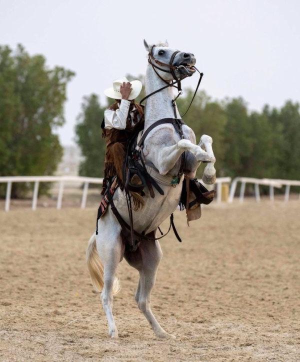 بالصور.. فعالية "الكشتة" تجذب محبي ركوب الخيل ورياضات الكاوبوي