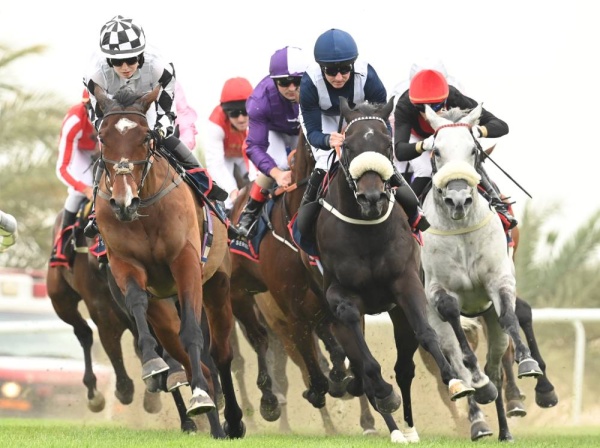 مشاركة كبيرة للفوز بكؤوس مونتريال للسيارات والنادي