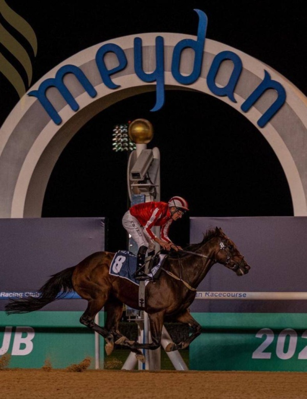 ناصر بن حمد: انجازات فيكتوريوس للخيل دلالة على مسيرة الفريق الناجحة في المحافل الخارجية

&nbsp;