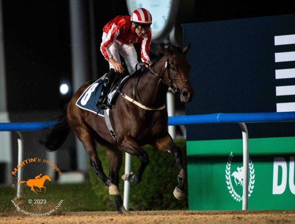 ناصر بن حمد: انجازات فيكتوريوس للخيل دلالة على مسيرة الفريق الناجحة في المحافل الخارجية

&nbsp;