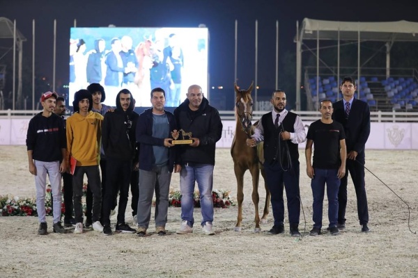 منافسات قوية في بطولة البحرين الوطنية والخيل ذات السلالة المصرية لجمال الخيل العربية