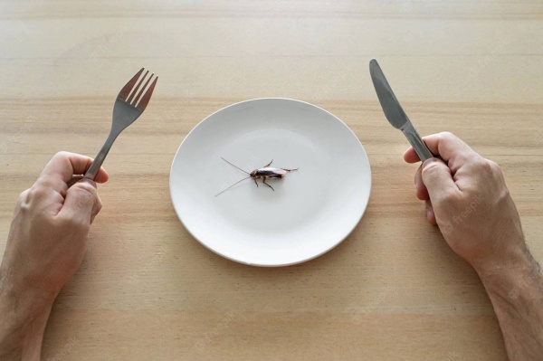 الاتحاد الأوروبي يسمح بتناول الصراصير والديدان